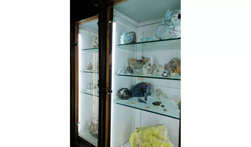 Musée des fossiles et des minéraux du Monte Nerone
