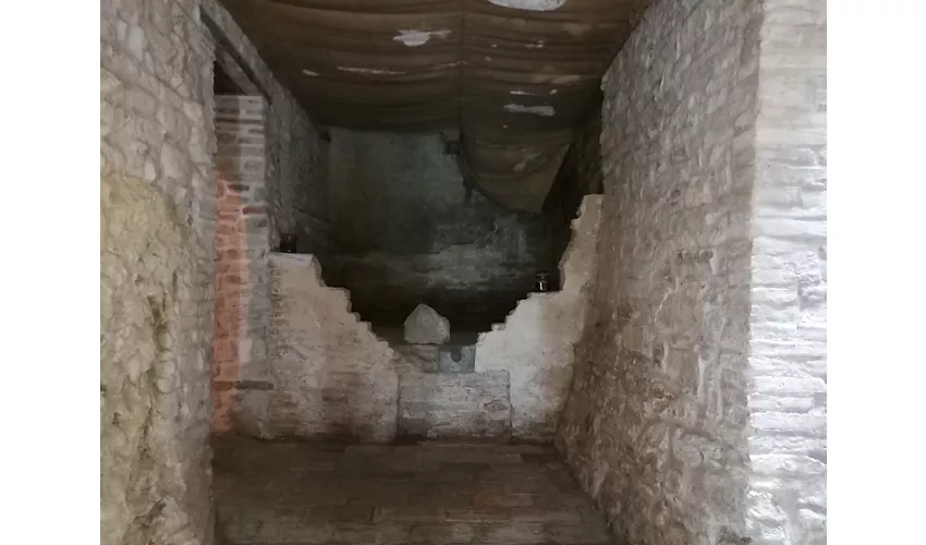 Museum für Fossilien und Mineralien des Monte Nerone