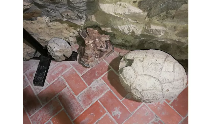 Museu de Fósseis e Minerais de Monte Nerone
