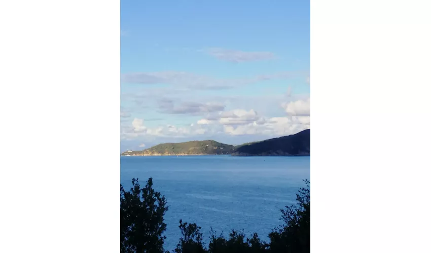 Museum für Fossilien und Mineralien des Monte Nerone