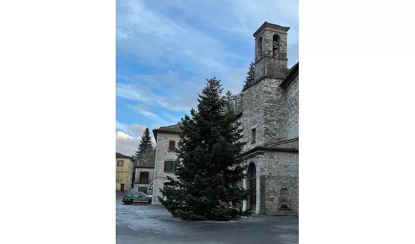 Museo Archeologico e della Via Flaminia "G. C. Corsi"