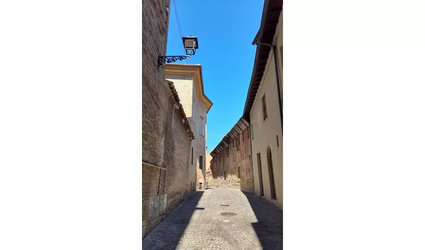 Museu Diocesano de Pésaro