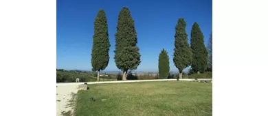 Museo del Balì, in pratica la scienza!
