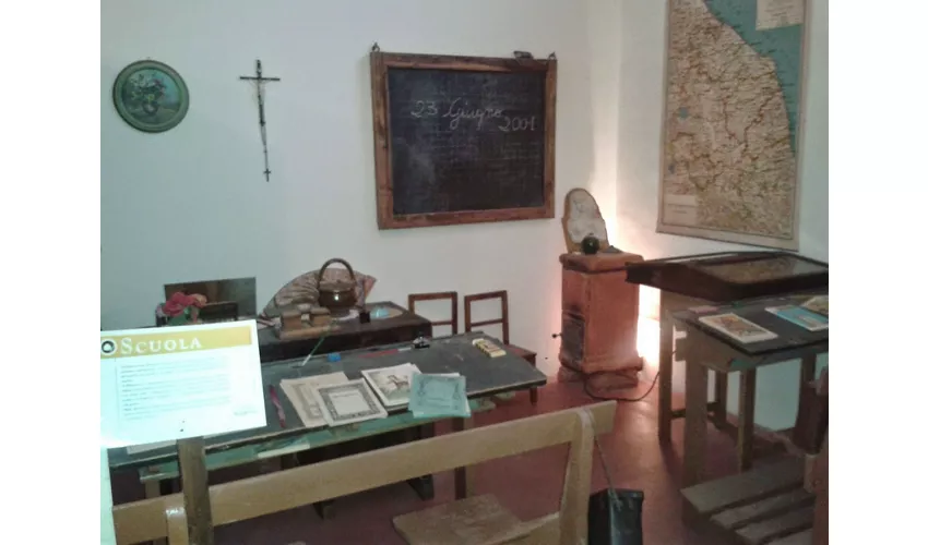 Museo delle Terre Marchigiane