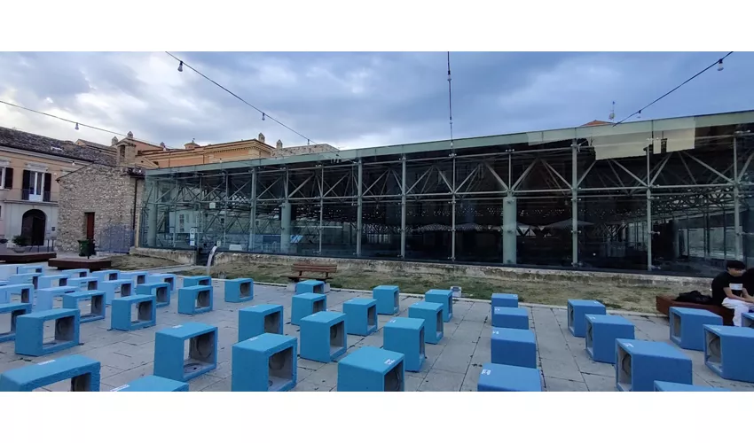 Domus e mosaico del Leone
