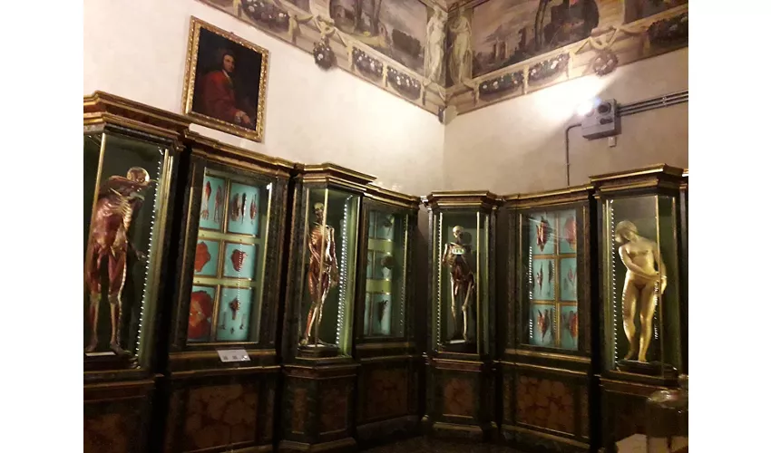 Museum des Palazzo Poggi