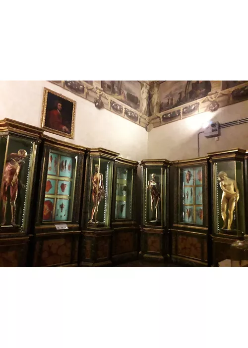 Museo di Palazzo Poggi