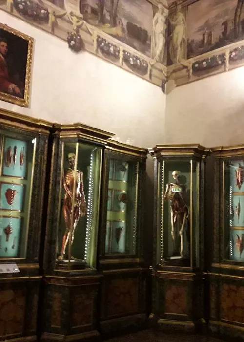 Museo di Palazzo Poggi