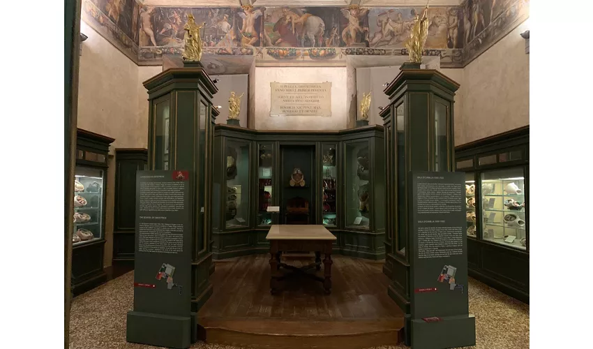 Museum des Palazzo Poggi