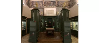 Museum des Palazzo Poggi