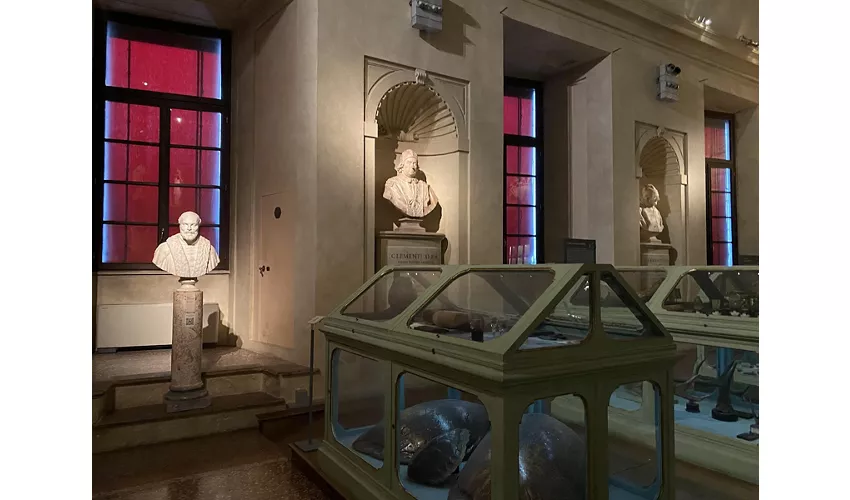 Museum des Palazzo Poggi