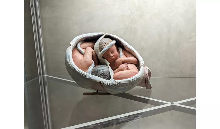 Museum des Palazzo Poggi