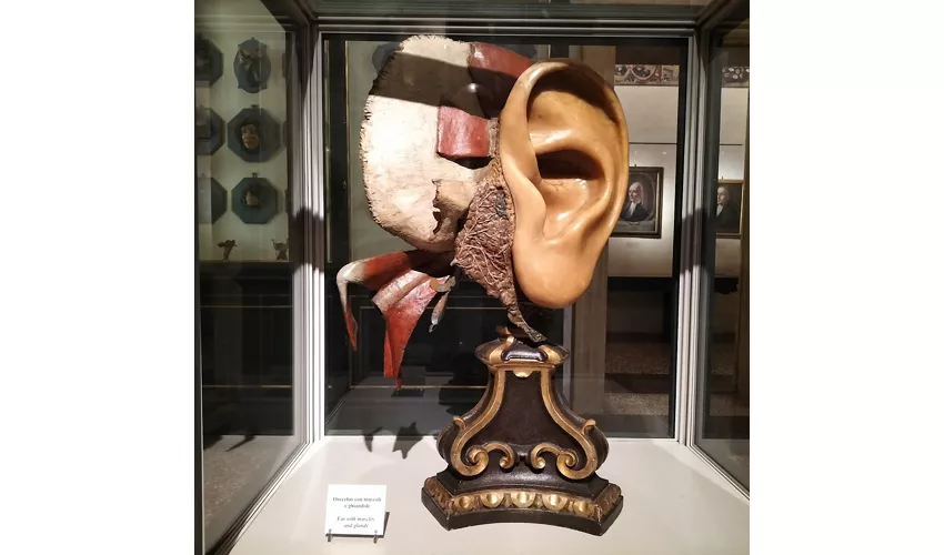 Museo di Palazzo Poggi
