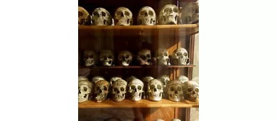 ​Museo di Anatomia Umana Luigi Rolando