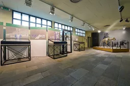 Museo di Archeologia e Paleontologia "Carlo Conti"