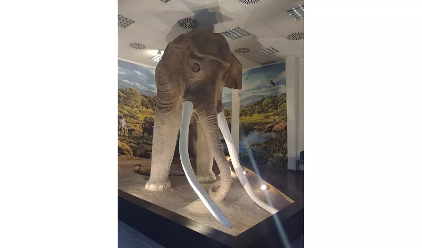 Archäologisches Museum von Tolero