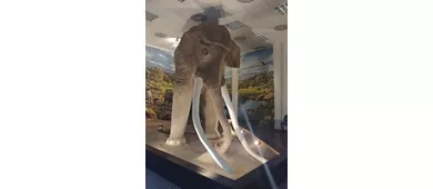 Archäologisches Museum von Tolero