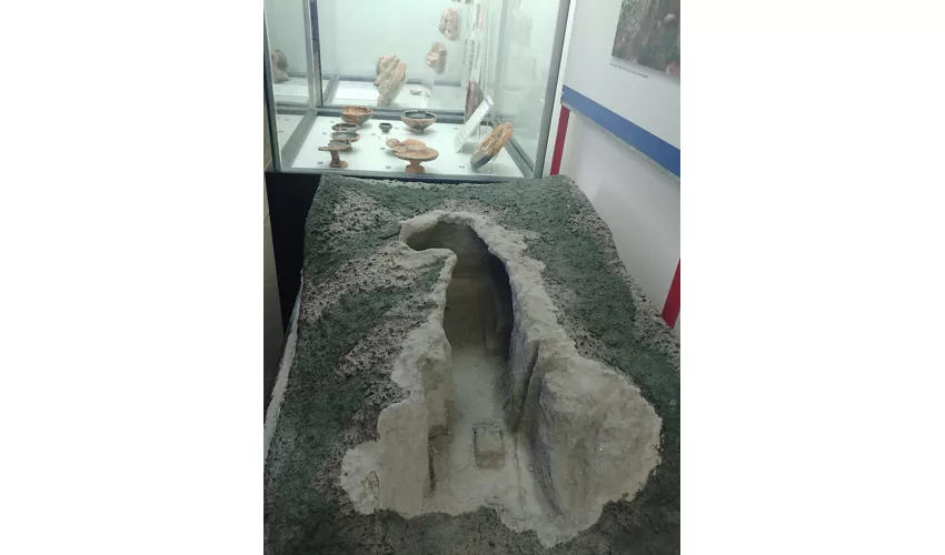 Museo Archeologico Toleriense