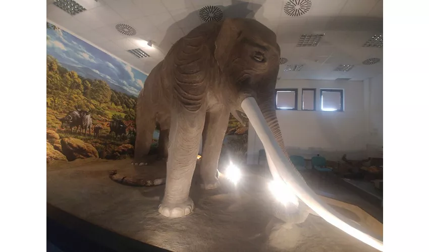 Archäologisches Museum von Tolero