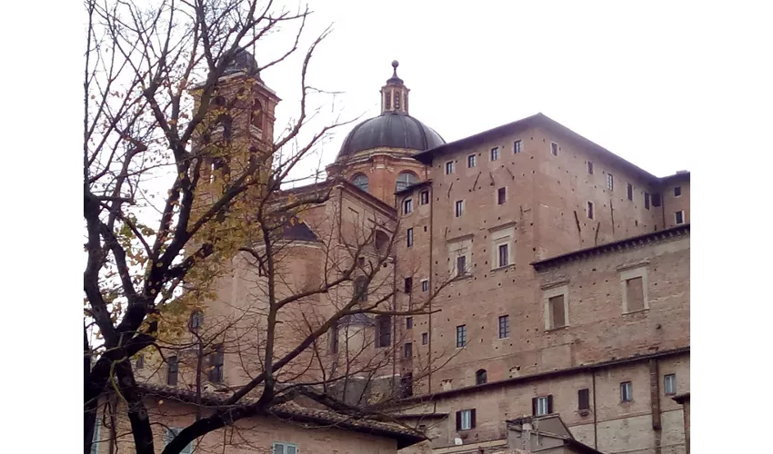 Museo della Città