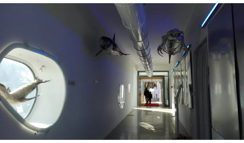 Museu do Mar