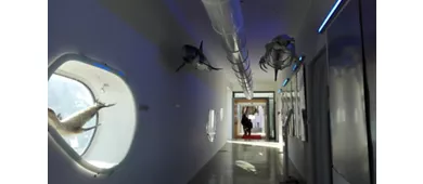 Museu do Mar