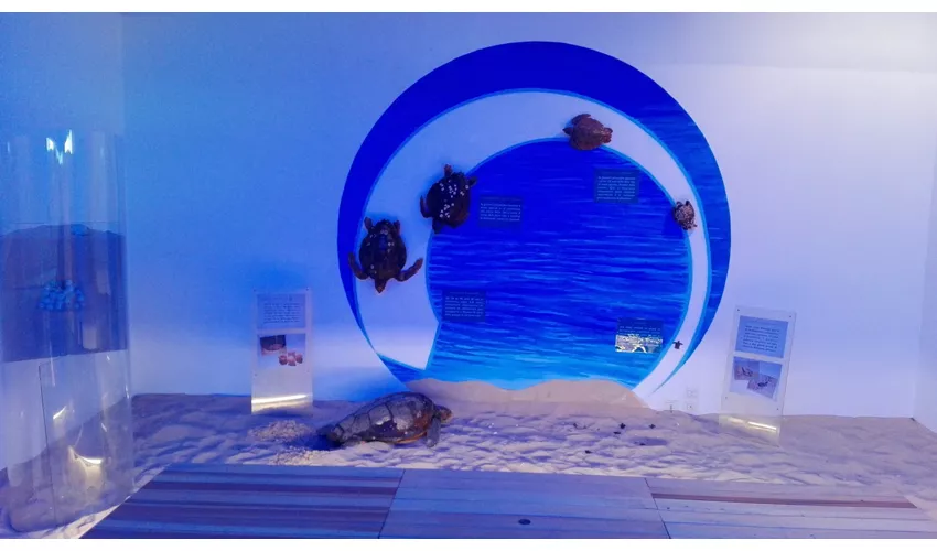 Museu do Mar