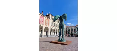 Museo Civico Pier Alessandro Garda