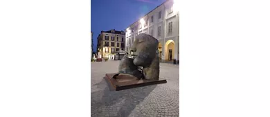 Museo Civico Pier Alessandro Garda