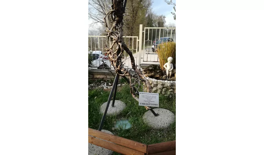 Museo Civico Archeologico della Valtenesi
