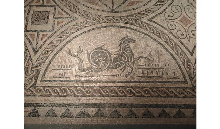 Museum für Stadtarchäologie „G. Fiorelli“