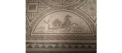 Museu Cívico de Arqueologia Urbana "G. Fiorelli"