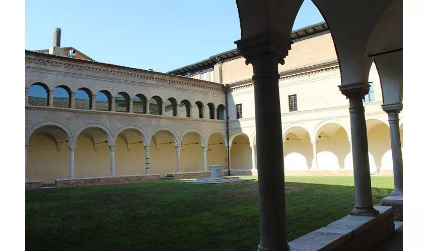 Musée Dante