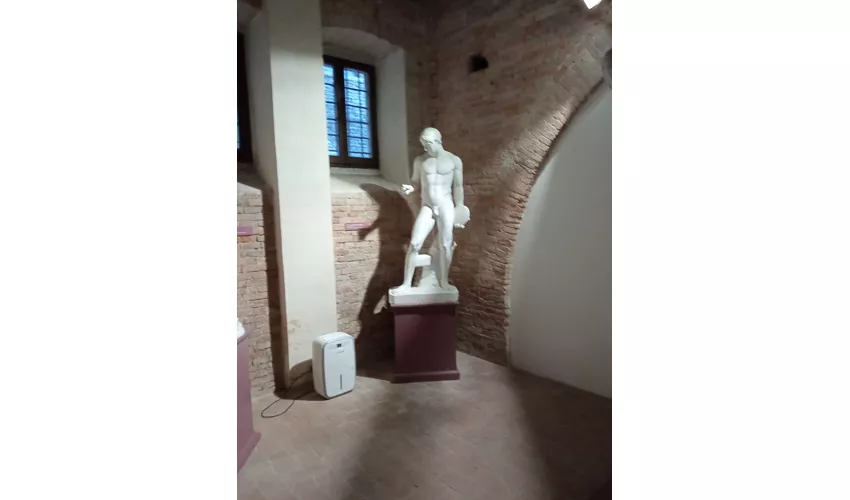 Museo dei Gessi dell'Università di Urbino Carlo Bo