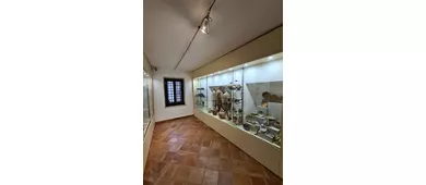 Museo archeologico Comunale