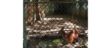 Besucherzentrum von Pescasseroli