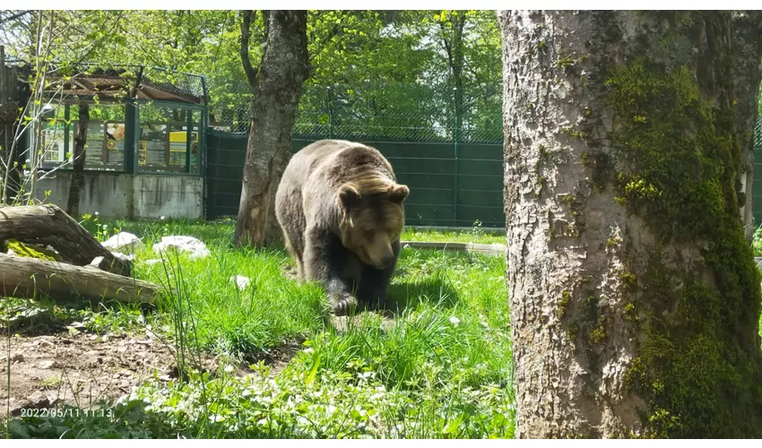 Besucherzentrum von Pescasseroli