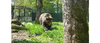 Besucherzentrum von Pescasseroli