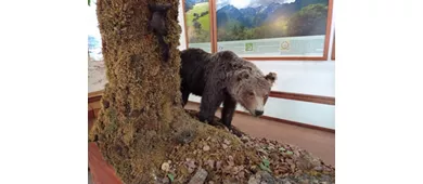 Besucherzentrum von Pescasseroli