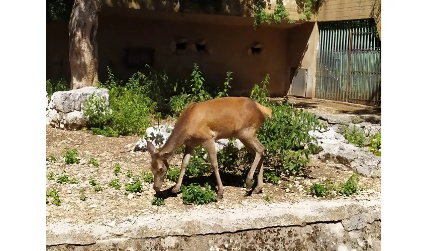 Centro Visita di Pescasseroli
