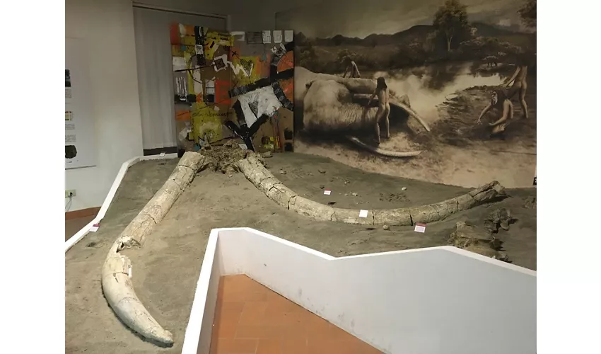 Museo Civico di Allumiere