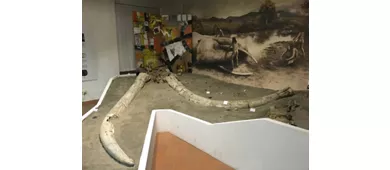 Museo Civico di Allumiere