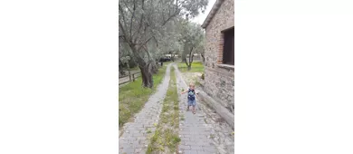 Museo Pietrarotta