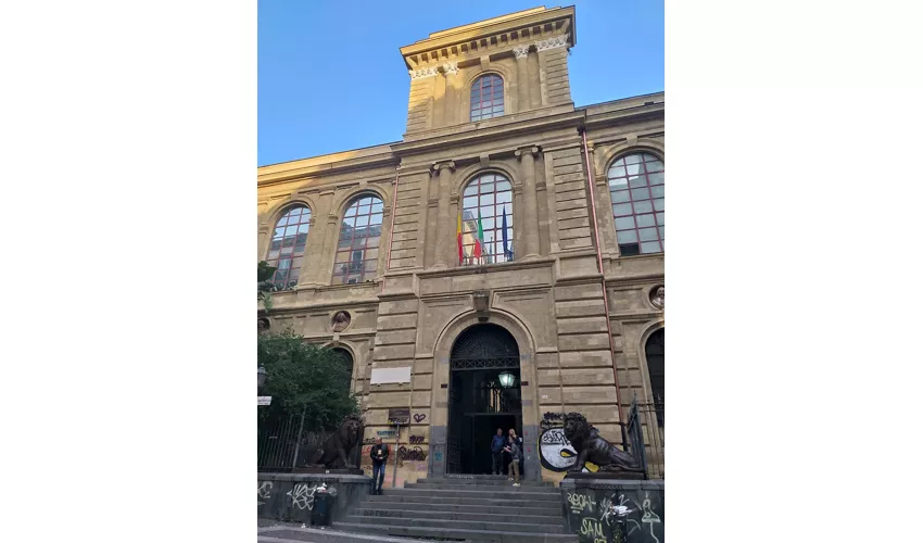 Accademia di Belle Arti