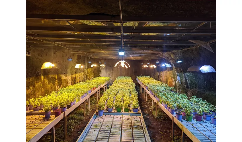 Nápoles subterrânea