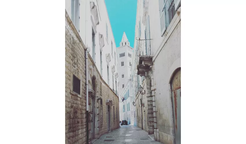Arcidiocesi Trani-Barletta-Bisceglie
