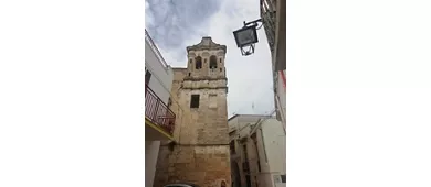 Museo Rodolfo Valentino