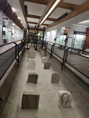 Museo Archeologico Viddalba