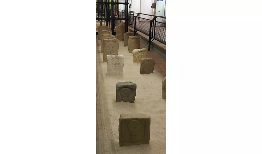 Museo Archeologico Viddalba