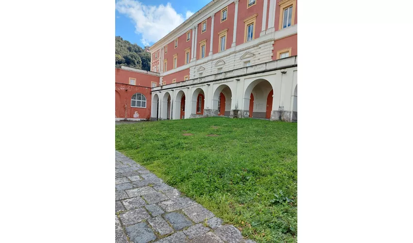 Museo Archeologico Stabiano - Reggia di Quisisana